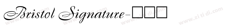 Bristol Signature字体转换